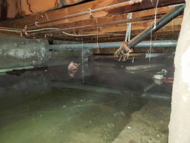 Best Flooded house restoration  in Kingston, TN