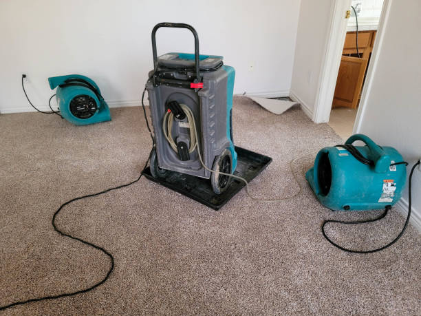 Trusted Kingston, TN Water damage restoration Experts