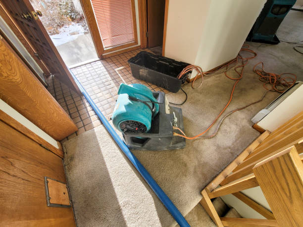 Best 24-hour water damage restoration  in Kingston, TN