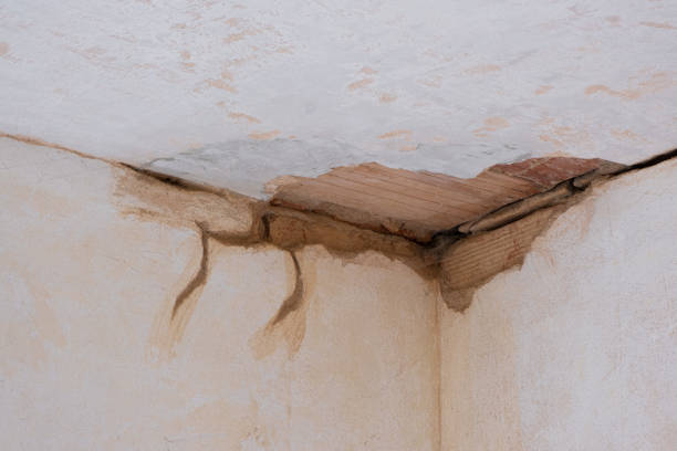 Best Carpet water damage restoration  in Kingston, TN
