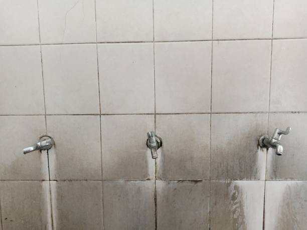 Best Sewage cleanup and water damage restoration  in Kingston, TN