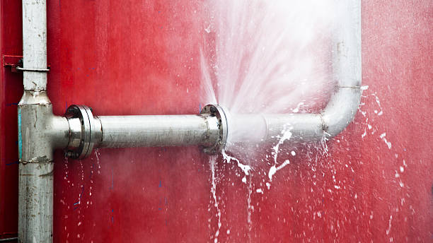 Best Water damage restoration mold remediation  in Kingston, TN
