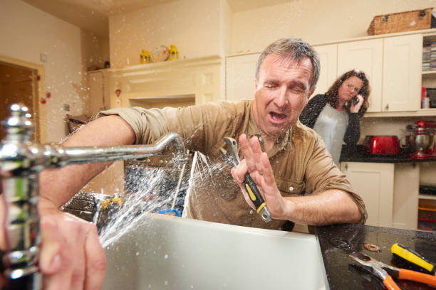 Best Professional water damage repair  in Kingston, TN